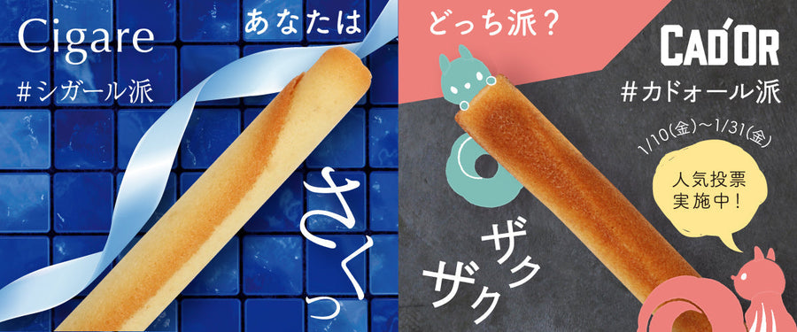 あなたは王道「シガール」派？それとも新星「カドォール」派？キャンペーンのお知らせ