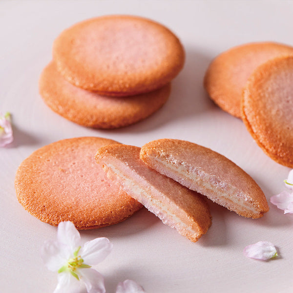 ドゥーブル ショコラ オゥ サクラ