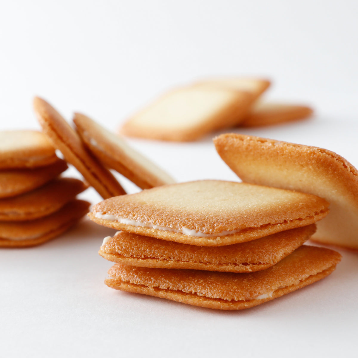 ドゥーブル ショコラブラン