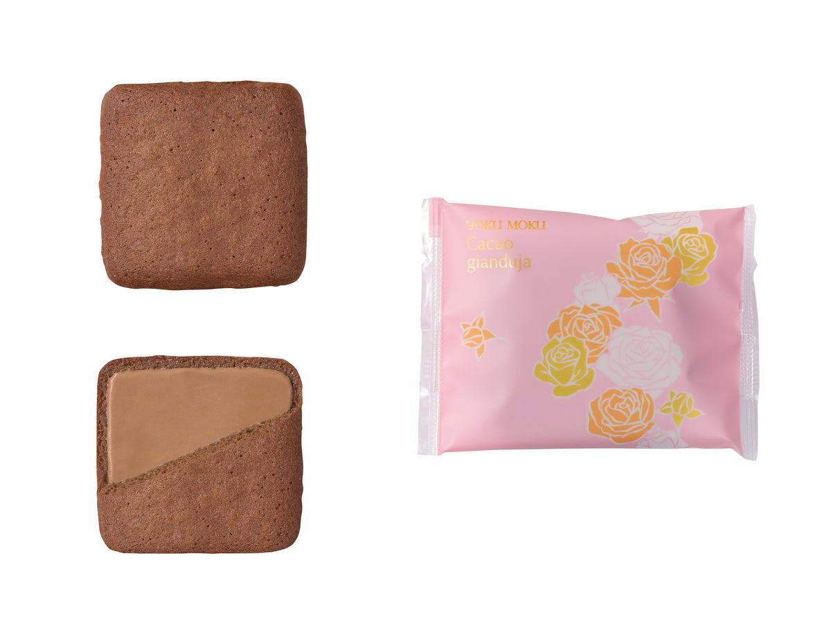 カカオ ジャンドゥーヤ