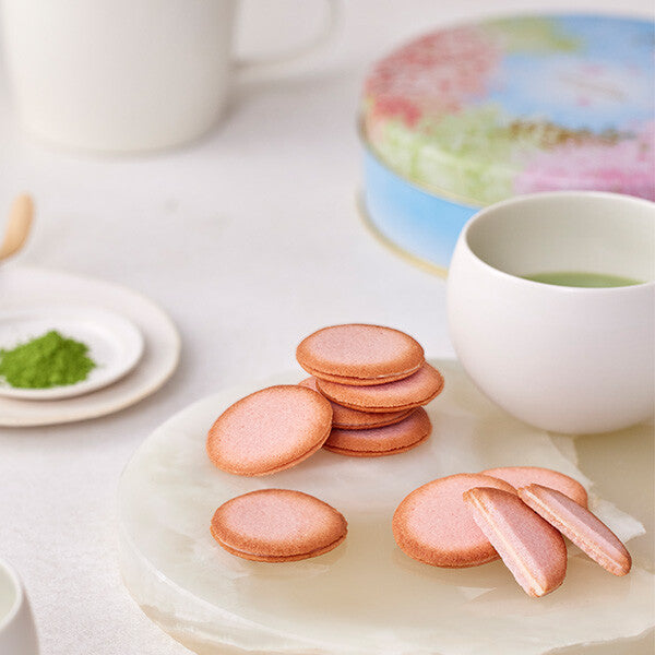 【24枚入り】ドゥーブル ショコラ オゥ サクラ