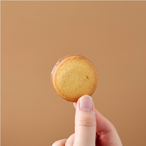 【16枚入り】プラン リュンヌ