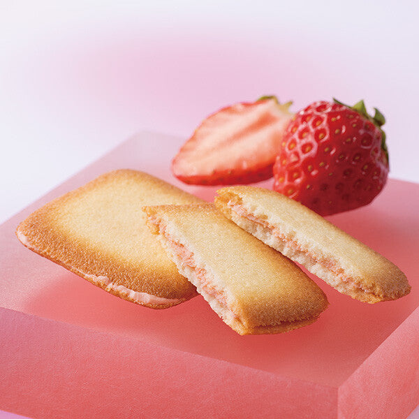 【3種 16個入り】ガトー アミカル