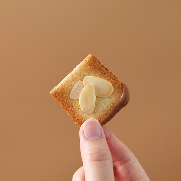 【24枚入り】ビエ オザマンド ショコラ