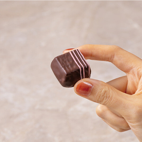 【3種 12個入り】ベイクドショコラ コロンビアンカカオ