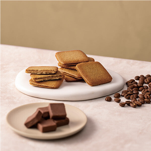 【4種 32個入り】ガトー エクセラン