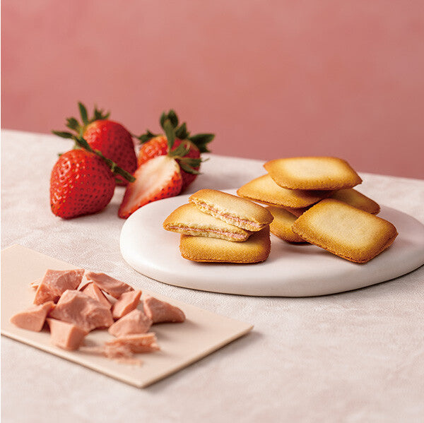 【4種 32個入り】ガトー エクセラン