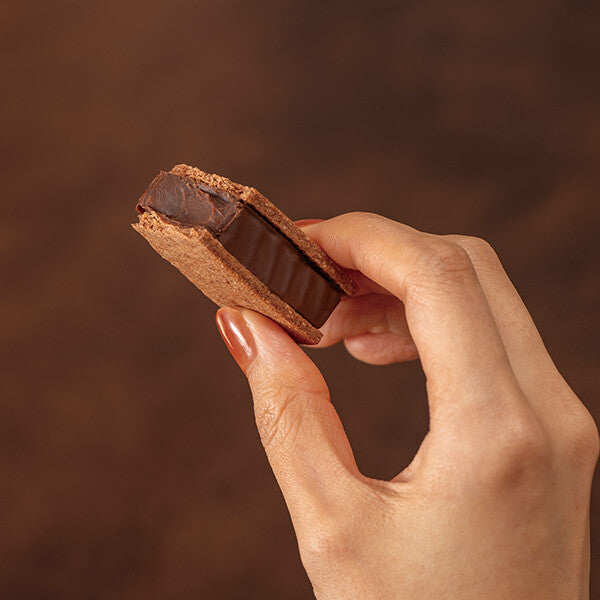 【10個入り】ショコラサンドクッキー コロンビアンカカオ