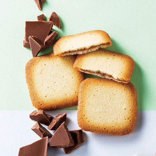 ドゥーブル ジュレ アソート 9種 35個入り ／YDLGA-B