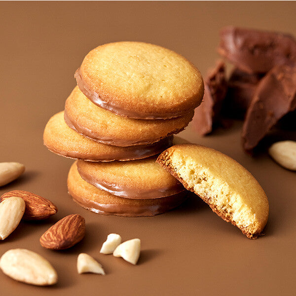 【5種 40個入り】サンク デリス