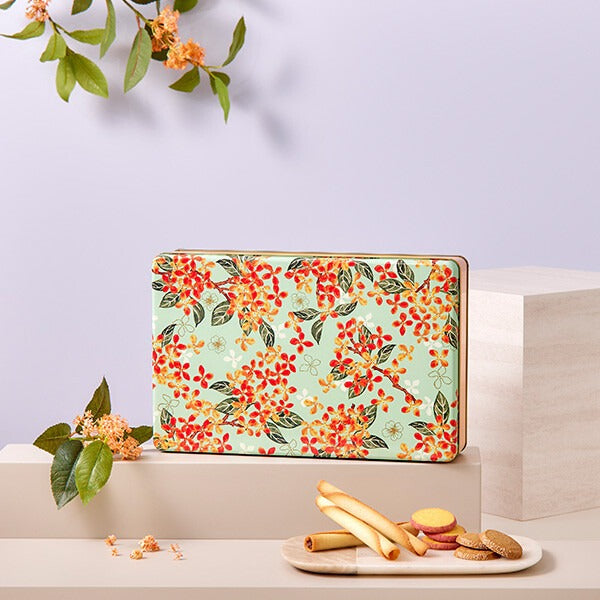 カドー ドゥ ロートンヌ 4種 36個入り ／YCLA-C