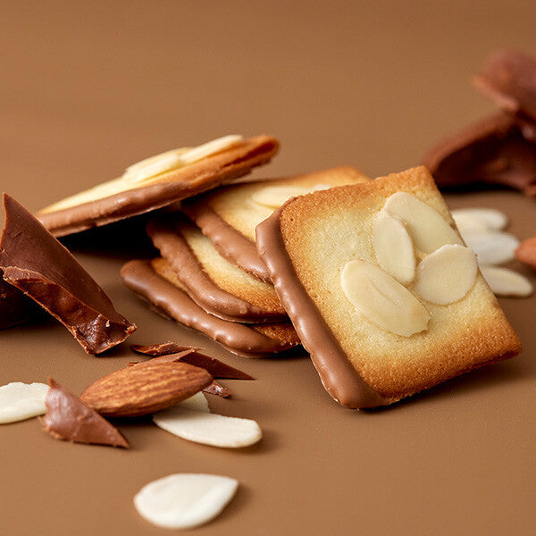 【7種 60個入り】セット デリス