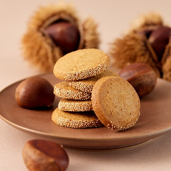 カドー ドゥ ロートンヌ 4種 26個入り ／YCLA-B