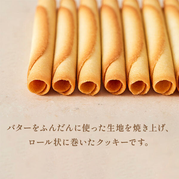 【48本入り】シガール