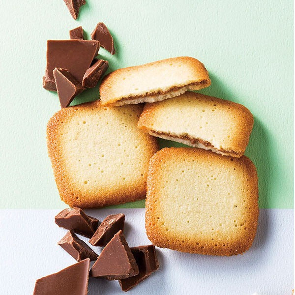 ドゥーブル ジュレ アソート 8種 28個入り ／YDLGA-A