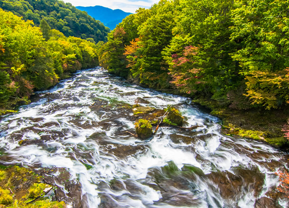 おいしい菓子は良い環境から生まれる