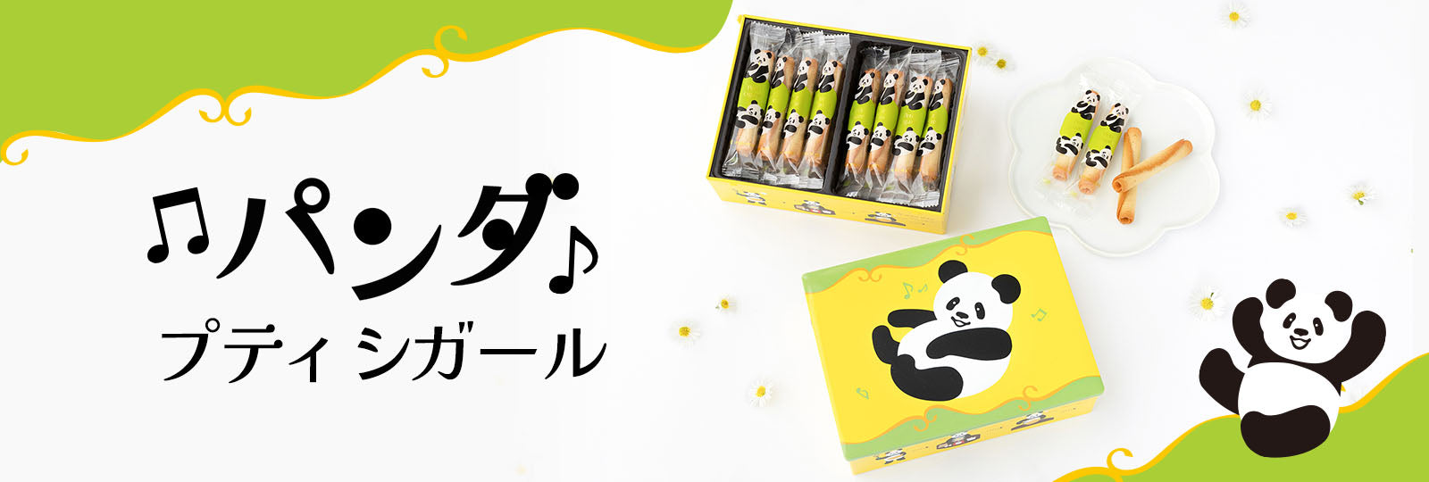 YOKUMOKU　パンダ プティ シガール