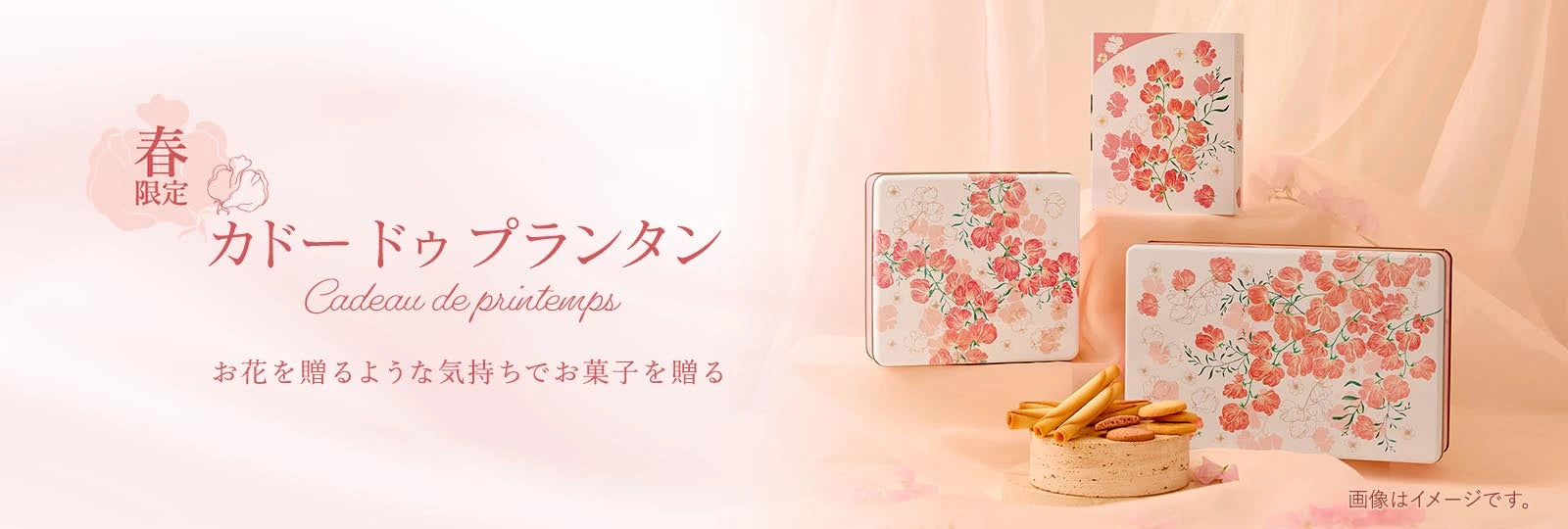 カドー ドゥ プランタン