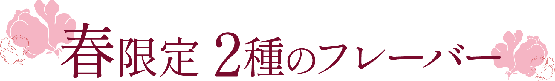 春限定 2種のフレーバー