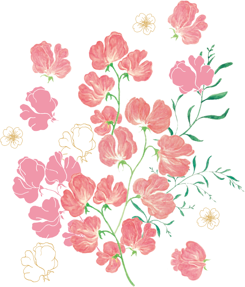 パッケージイラスト