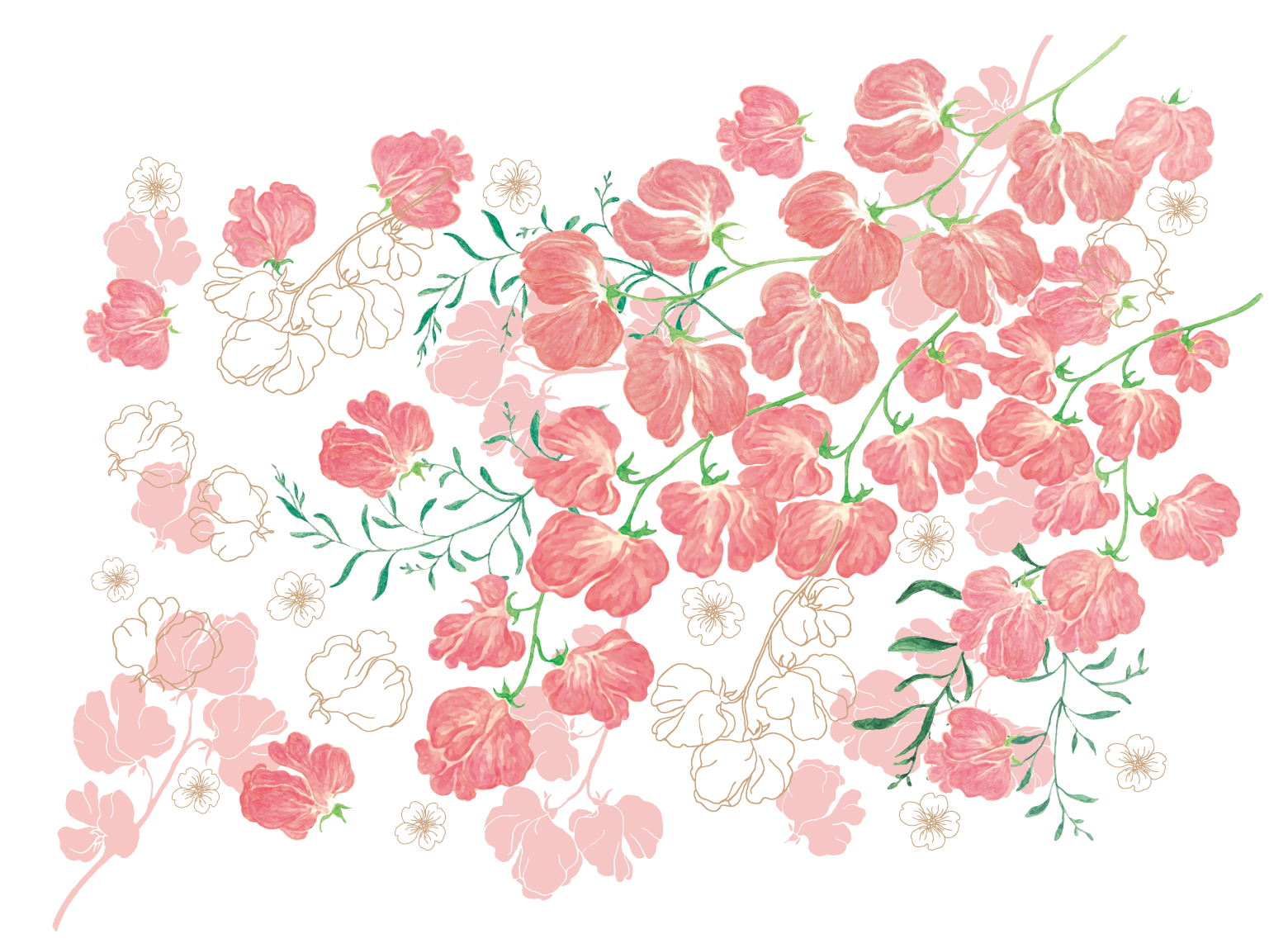 パッケージイラスト