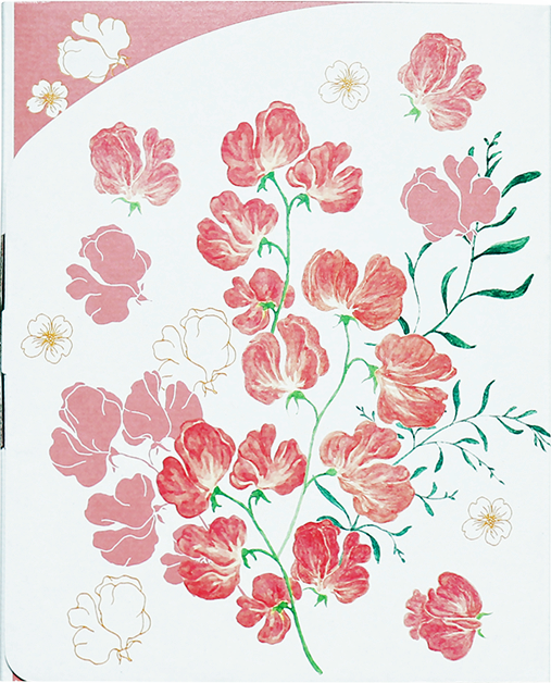 カドー ドゥ プランタン　紙箱