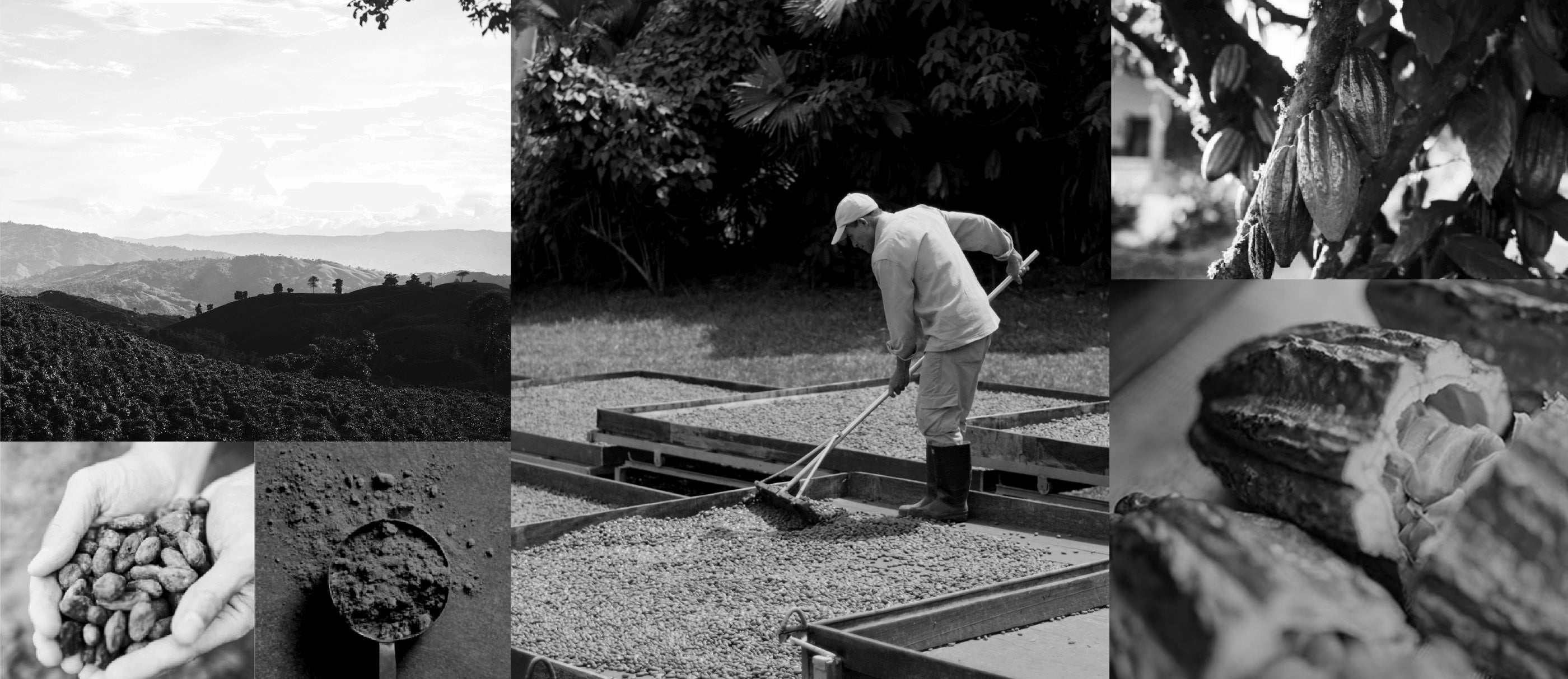 原料へのこだわり