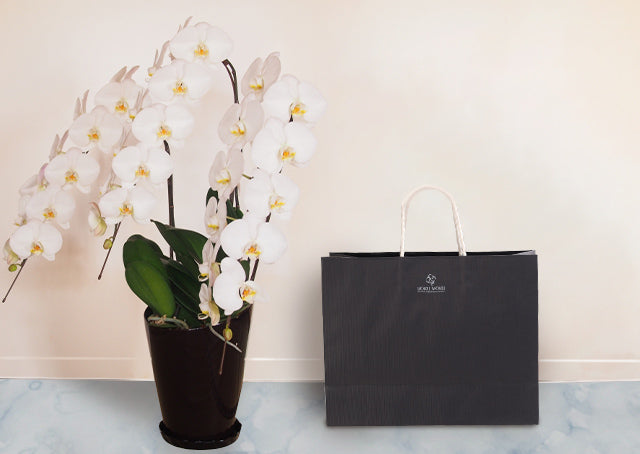 新たな門出に！「開業祝い」ギフトの関係性別予算&基本マナー