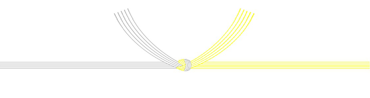 黄白結び切り